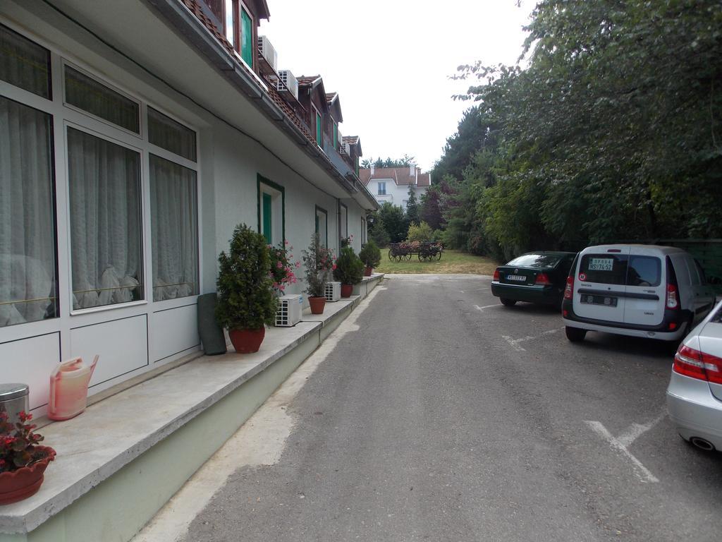 B&B Villa Evandjelina Sremska Kamenica Exteriör bild