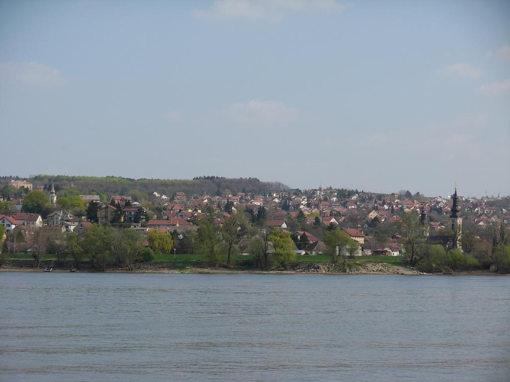 B&B Villa Evandjelina Sremska Kamenica Exteriör bild