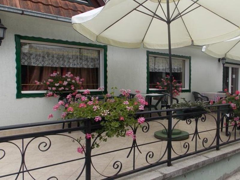 B&B Villa Evandjelina Sremska Kamenica Exteriör bild