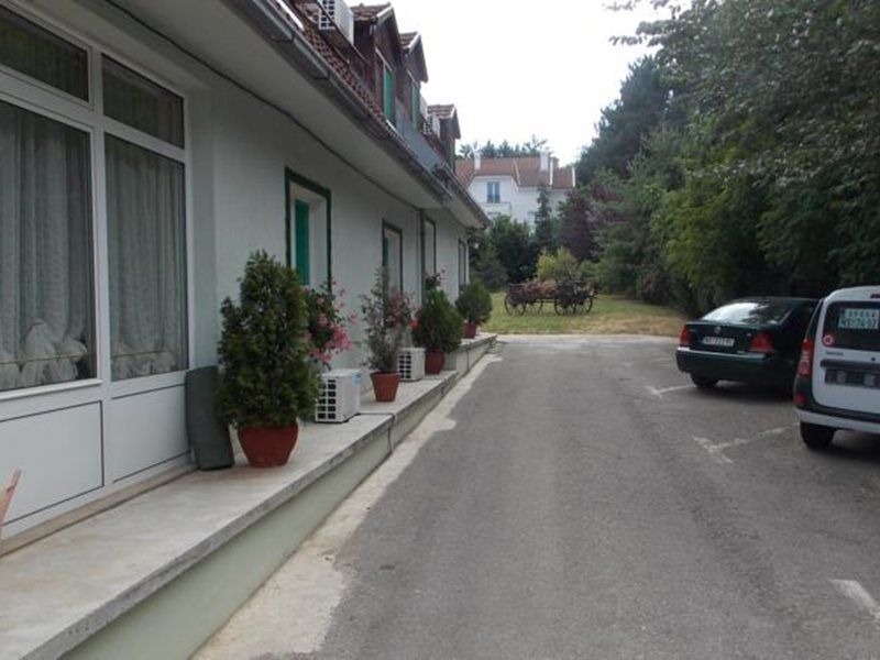 B&B Villa Evandjelina Sremska Kamenica Exteriör bild